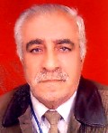 Hedi  Al Rubei