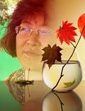 MICHÈLE SATO 